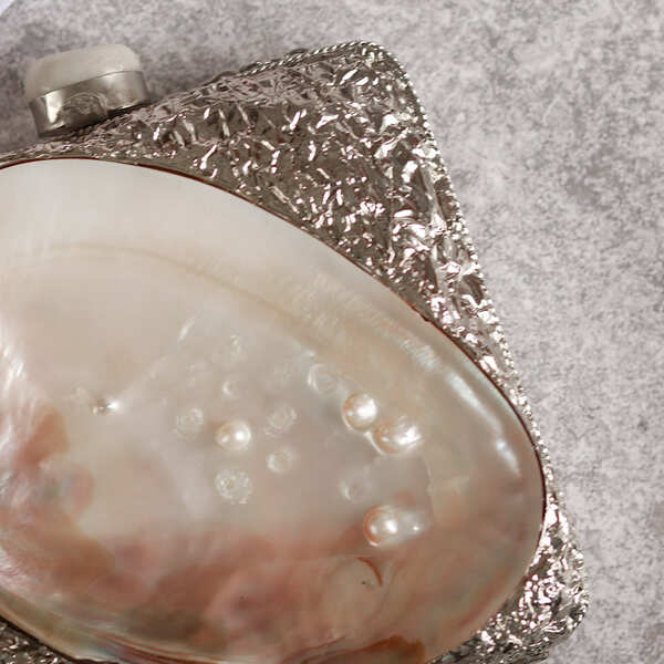 Elegant Mumtaz Mother of Pearl Clutch by The Tan Clan with intricate pearl detailing and a sleek, stylish design.