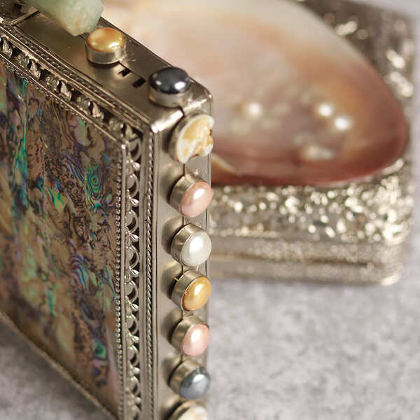 Salma mother of pearl clutch purse by The Tan Clan with a sleek, elegant design and metallic clasp closure.